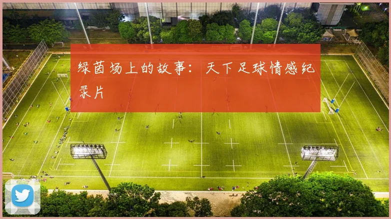 绿茵场上的故事：天下足球情感纪录片