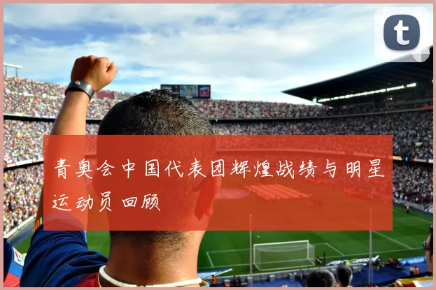 青奥会中国代表团辉煌战绩与明星运动员回顾