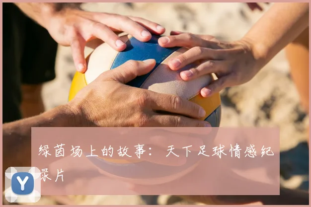 绿茵场上的故事：天下足球情感纪录片