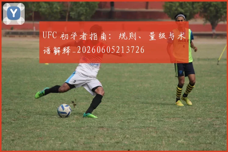 UFC 初学者指南：规则、量级与术语解释_20260605213726