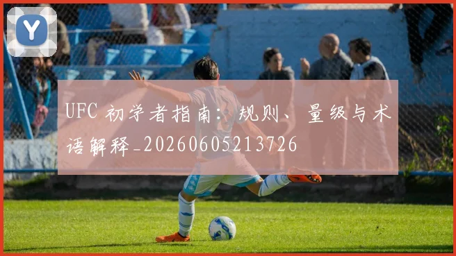 UFC 初学者指南：规则、量级与术语解释_20260605213726